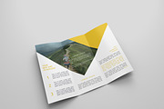 6 Travel  Tri Fold Bochures, a Brochure Template by Creatricks (Thumbnail 3 of 13)