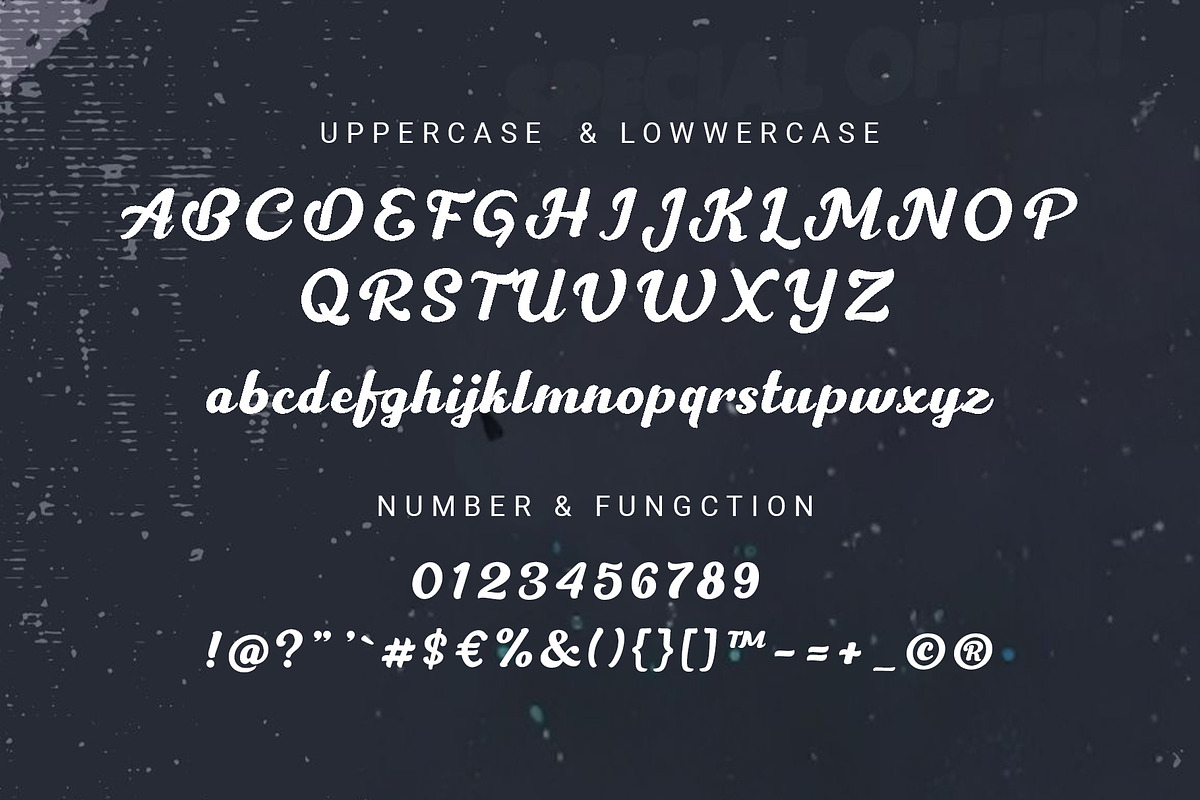 Barico - Modern Skript Font, a Script Font by RHD Creative Studio (Photo 10 of 11)