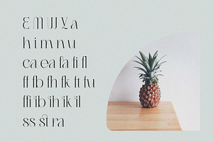 Migasike // Stylish Ligature Serif