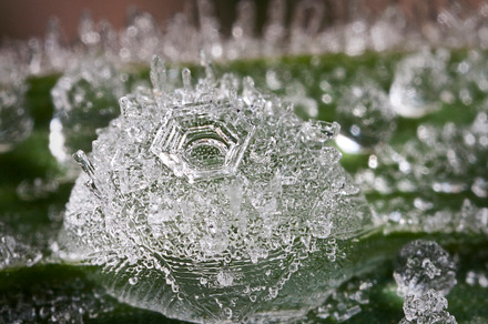 Crystallized Dew Droplets Stock Photograph preview 5
