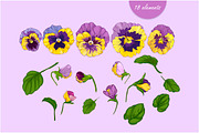 Pansies violets floral collection, an Illustration by EshaStudio (Thumbnail 3 of 8)