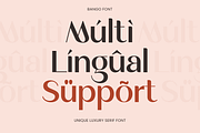 Malika - Elegant Minimalist Font, a Sans Serif Font by Sensatype (Thumbnail 12 of 12)