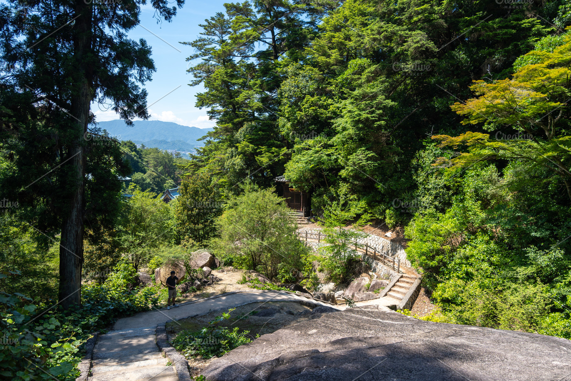 Hiking trail through Mount Misen forest, Miyajima Island, Japan, a Nature Photo by GoodGoods