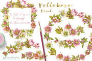 Pink Hellebore-Floral Clipart, an Illustration by watercolorwild.graphics (Thumbnail 4 of 6)