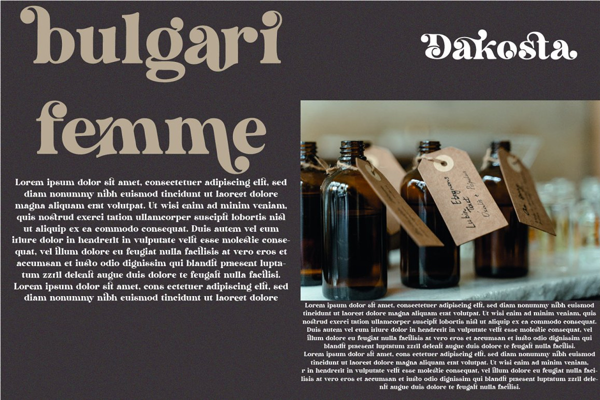Brighser | Retro Serif Family, a Serif Font by MchCrafter (Photo 11 of 11)