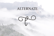 Sublimation | Script Font, a Handwritten Font by Scratchones (Thumbnail 8 of 9)
