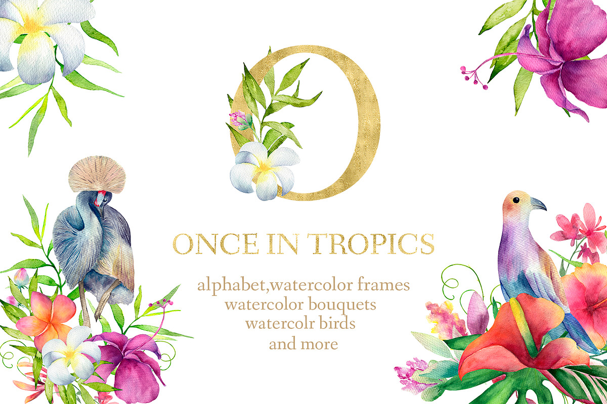 ONCE IN TROPICS, an Illustration by ViсkyArtDesign (Photo 1 of 12)