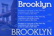 Coinarum - Serif font family, a Serif Font by Artistic & Unique (Thumbnail 11 of 12)