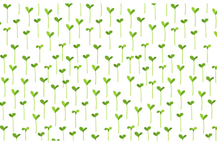 Agricultural seedlings field, a Texture Graphic by Ilia Design
