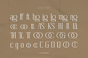 Celvio Monase | New Display Serif, a Serif Font by Denustudios (Thumbnail 10 of 12)