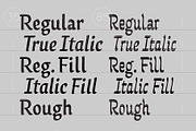 Grafema LC, a Script Font by Letter Collective (Thumbnail 3 of 11)