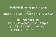 Greenic - Modern Serif Display Font, a Serif Font by Rishsketch (Thumbnail 13 of 15)