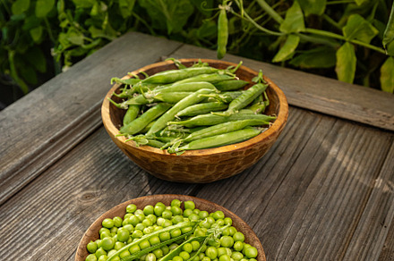 Fresh, ripe green peas