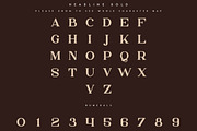 Bungalow Typeface - 9 fonts, a Serif Font by VP Fonts (Thumbnail 17 of 19)