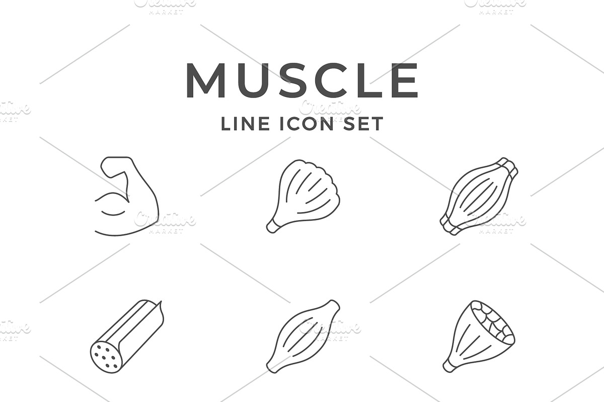 Set line icons of muscle, an Outline Icon by motorama (Photo 1 of 2)