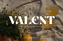 Valent Retro Serif Font