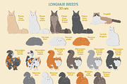 Cat breeds vector clipart, an Object Graphic by Trinibis (Thumbnail 3 of 11)