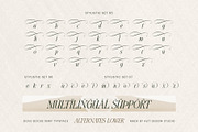 Dove and Goose Typeface, a Serif Font by alit design (Thumbnail 14 of 20)