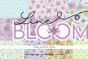 LINE BLOOM | Pattern Collection