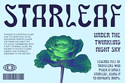 CS Roden – Psychedelic Font, a Sans Serif Font by Craft Supply Co. (Thumbnail 6 of 8)