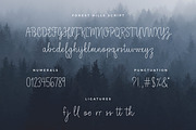 Forest Hills Script, a Script Font by Peacelettering (Thumbnail 8 of 8)