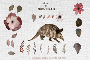 Armadillo watercolor set
