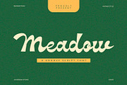 Meadow - Groove Script Font, a Script Font by Alpaprana (Thumbnail 1 of 9)
