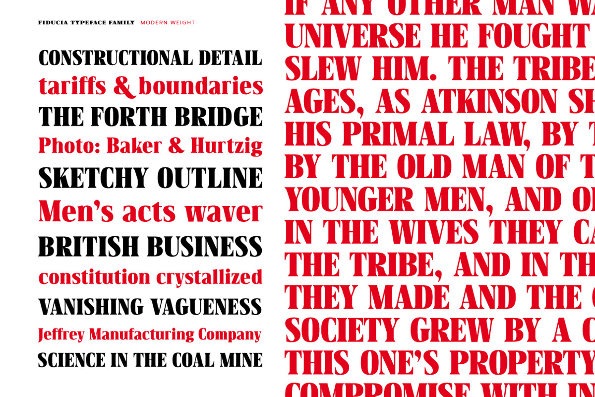 Fiducia, a Font by Typogama (Photo 3 of 11)