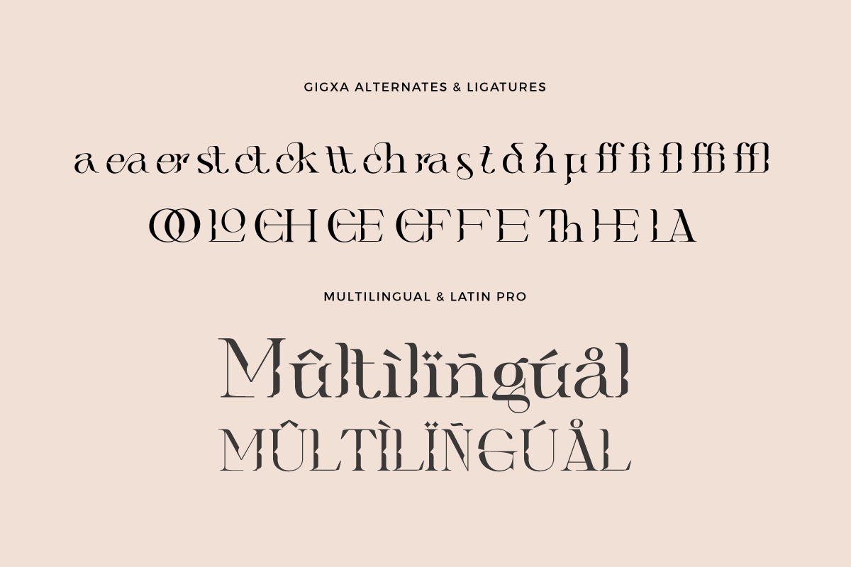 Gigxa - Stylist Chic Serif Ligature, a Sans Serif Font by Identy Studio (Photo 14 of 15)