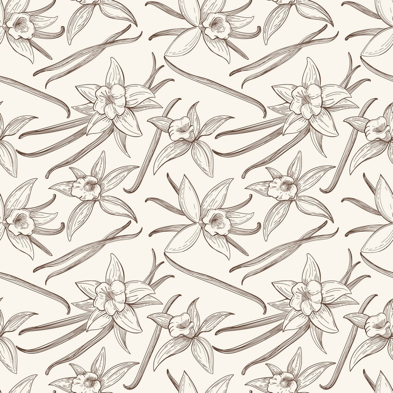 Vanilla flower seamless pattern, a Pattern Graphic by Microvector