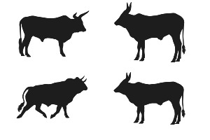 Bull Silhouettes Set 1 Procreate