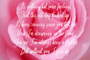Nostar Script, a Script Font by Royaltype (Thumbnail 4 of 9)