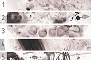INK TEXTURES, a Texture Graphic by Elisa Ursa (Thumbnail 4 of 6)