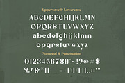 Milestone Modern Classic Font, a Serif Font by Lettertype Studio (Thumbnail 7 of 10)