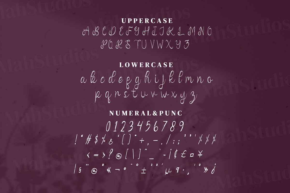 Vanadoora Script Fonts, a Script Font by mahstudios (Photo 13 of 15)