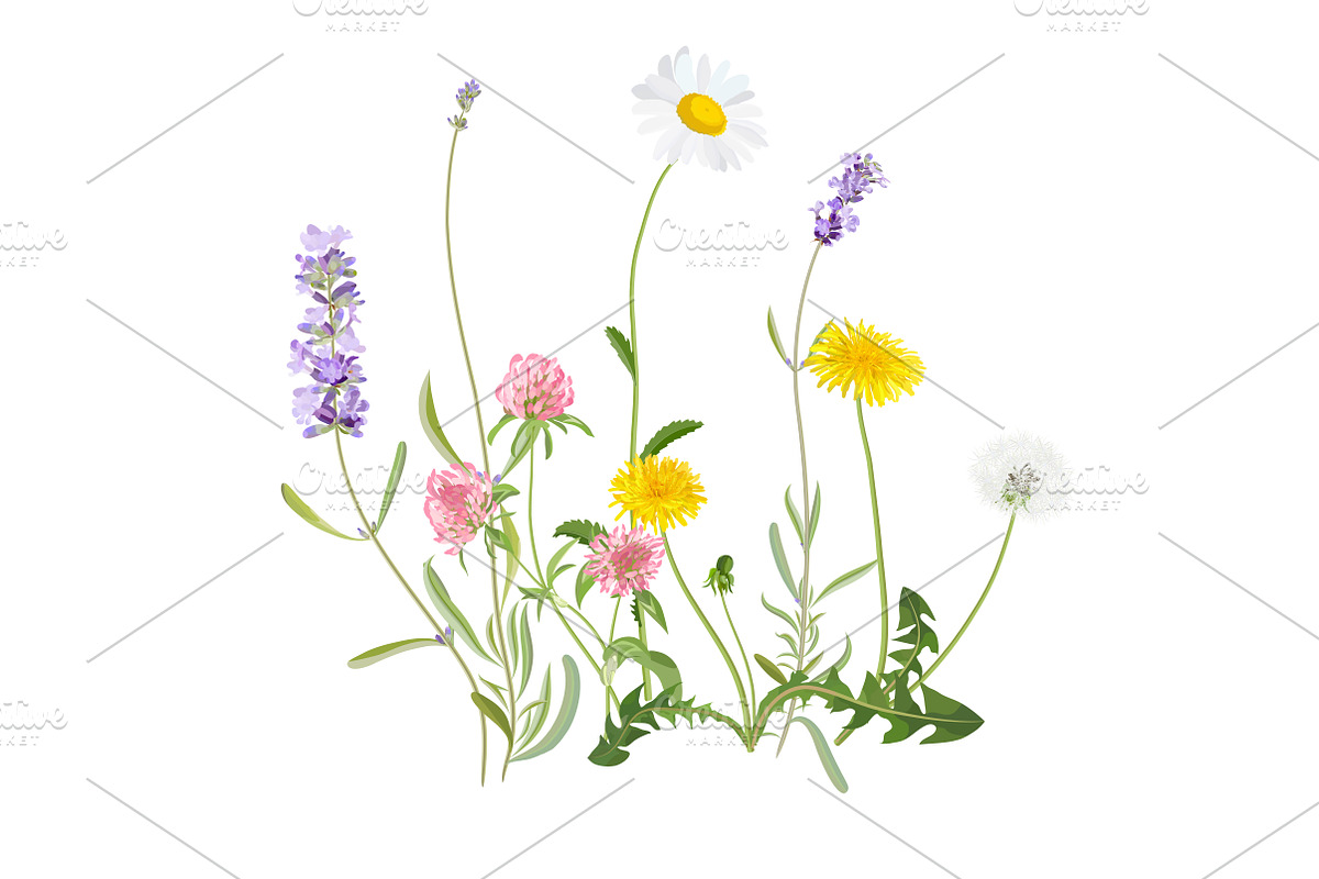 Vector object brushes. Clover, a Brush Add-On by Peolla (Photo 12 of 14)