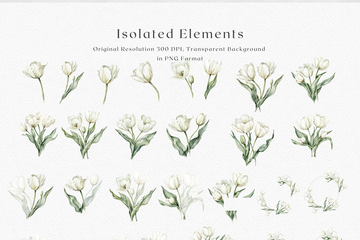 Tulip Whisper - Watercolor Clipart, an Illustration by ThaismotaCreativeCo (Photo 9 of 10)