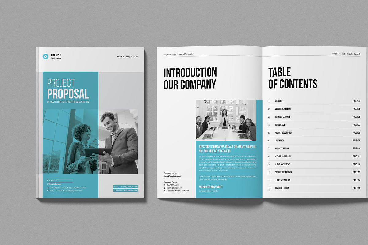 Project Proposal Template, a Brochure Template by Work-Envance (Photo 2 of 7)