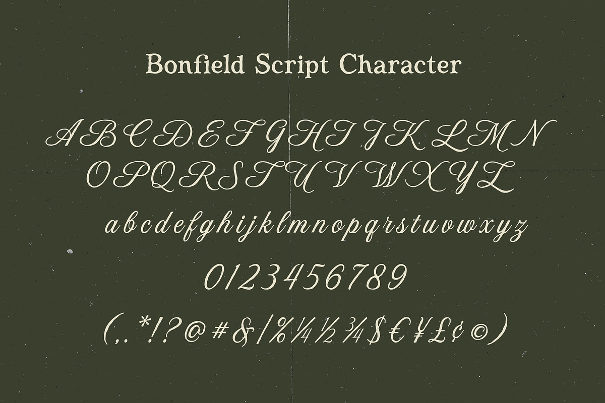 Bonfield – Modern Vintage Duo Font, a Serif Font by Honestype (Photo 12 of 12)
