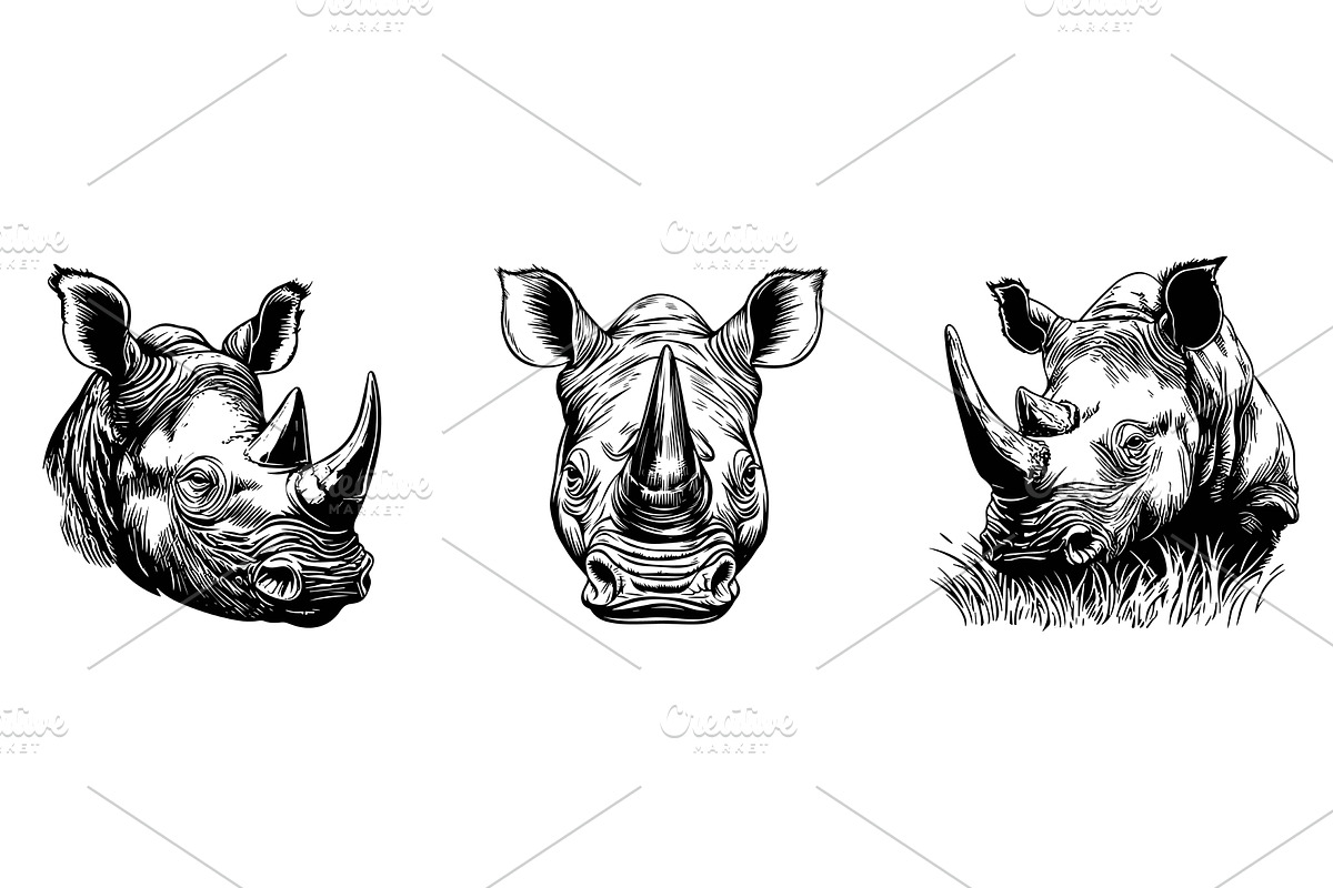 Rhinoceros portrait set. Front and, an Animal Illustration by Valerie Bodnar