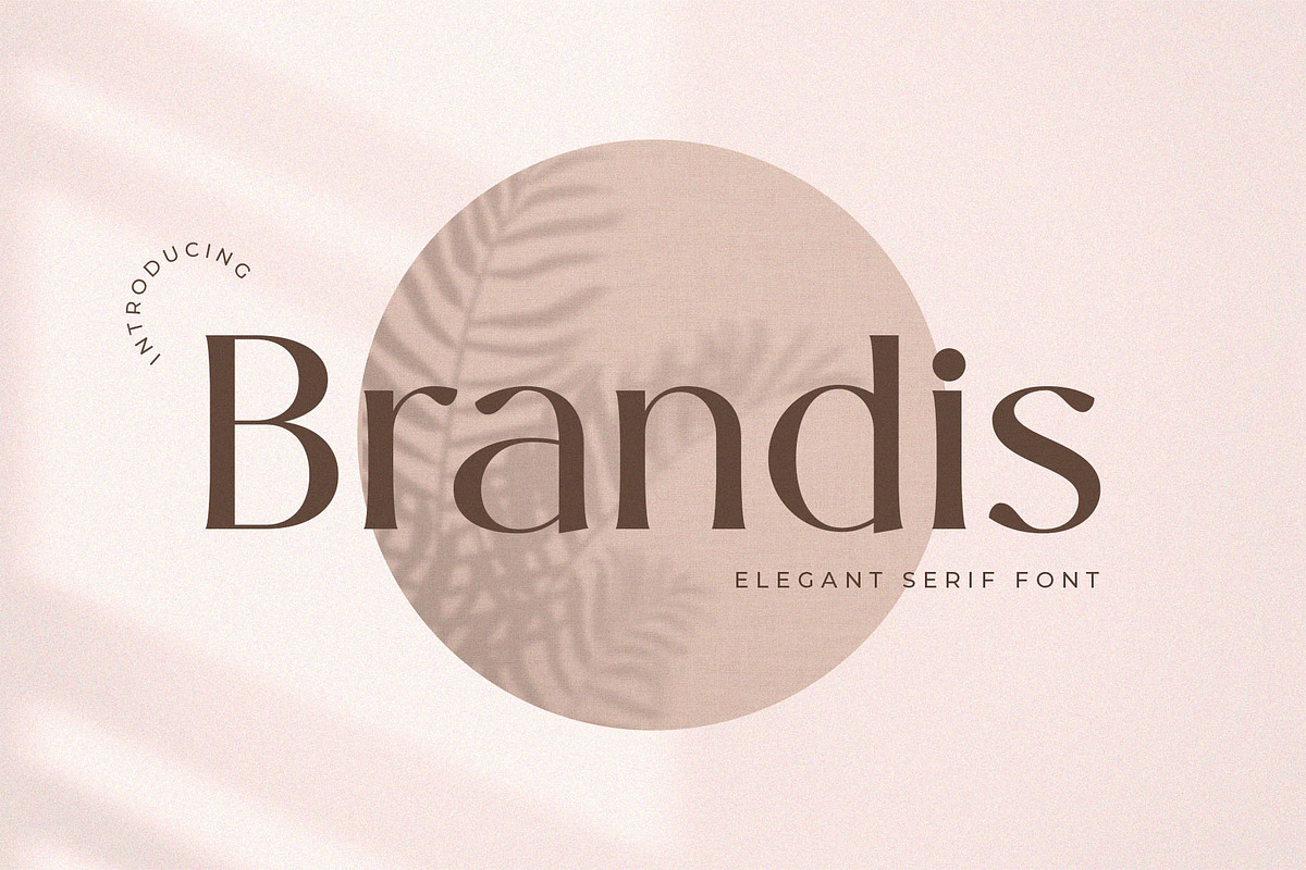 Brandis – Elegant & Modern Serif, a Serif Font by BrandSemut (Photo 1 of 8)