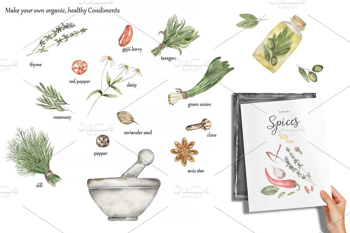 Watercolor Herbs and Spices, a Food Illustration by MayaNavits (Photo 9 of 13)