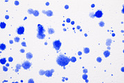 Drips&Spills Watercolor Backgrounds, a Texture Graphic by DanielleDee (Thumbnail 2 of 3)