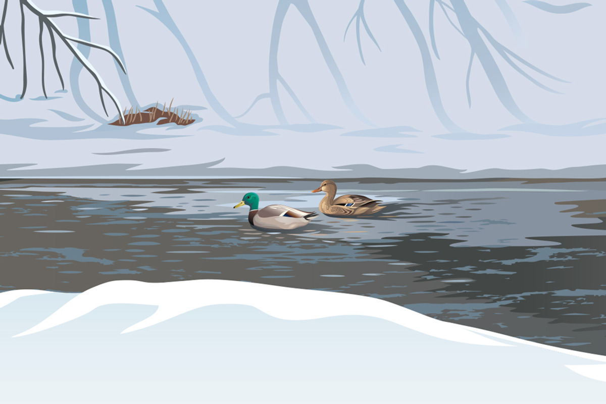 Winter forest with Fox, an Animal Illustration by Countryside life (Photo 8 of 10)