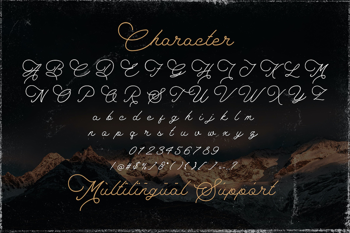 The Saily - Monoline Script Font, a Script Font by StringLabs (Photo 8 of 10)