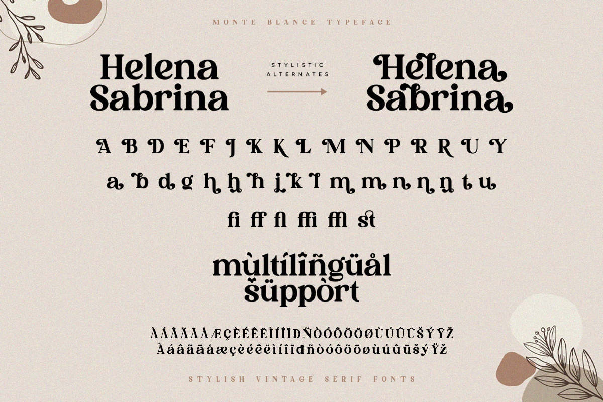 Monte Blance - Vintage Stylish Serif, a Serif Font by TypeFounder (Photo 9 of 10)
