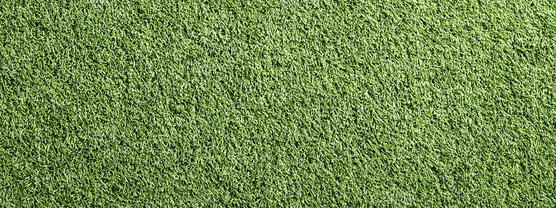 A close up view of green grass, a Nature Photo by MistyDay