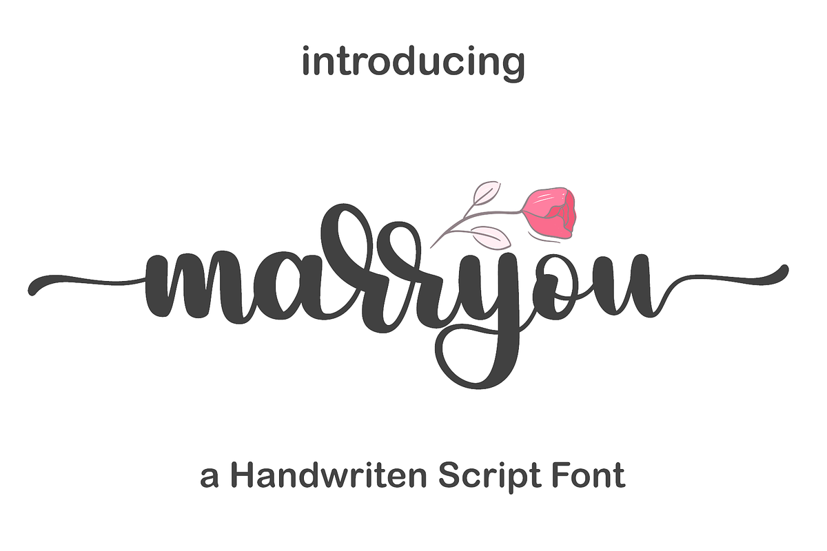 marryou a script with elegant swash, a Script Font by BearyType Studio (Photo 1 of 8)