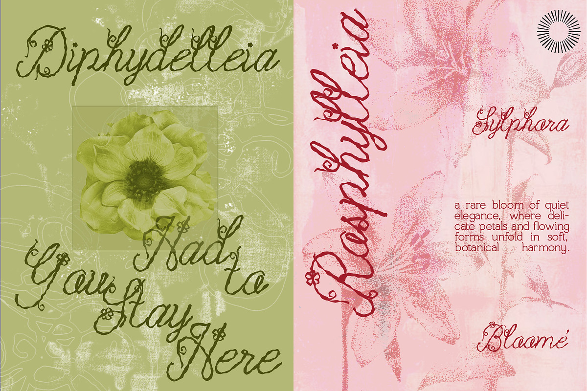 Blossom Reverie - Floral Script