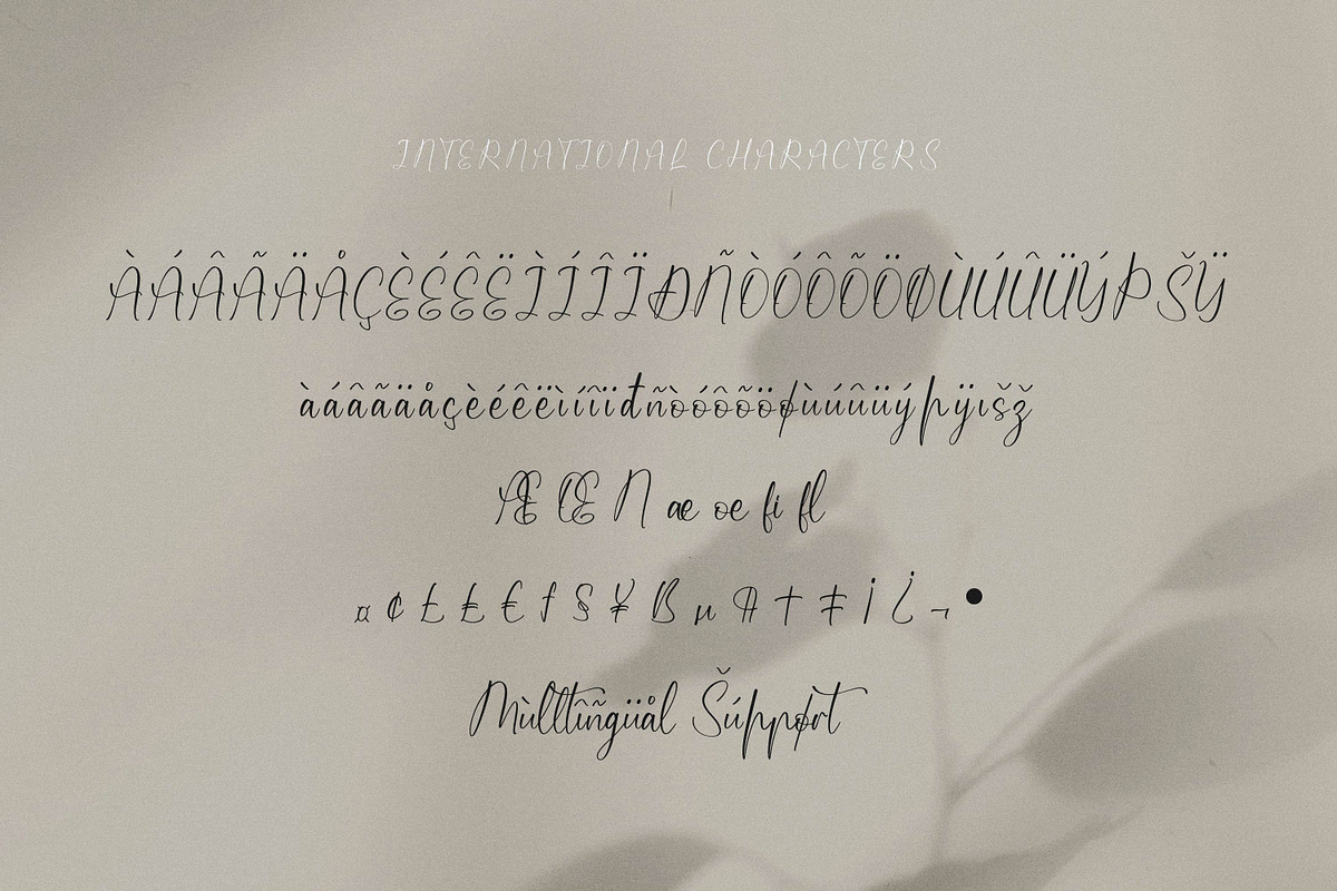 Qireenatta, a Script Font by Integritype Studio (Photo 10 of 15)